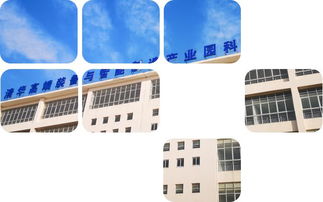 攜手清華高端裝備與智能制造產業園，共啟科技孵化新篇章——企業技術服務招商啟動