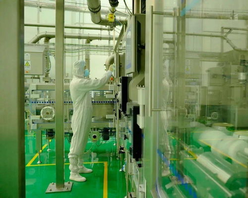 從肩扛奶粉到數字人 中國草根創業者的技術轉型之路